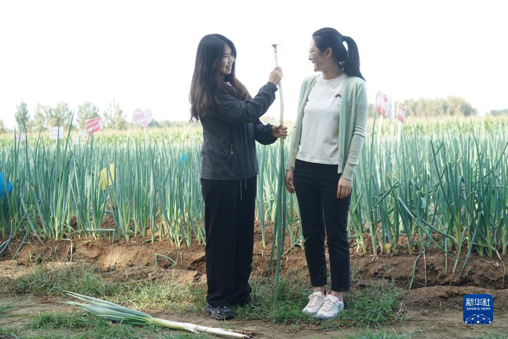 白菜网送彩金迎